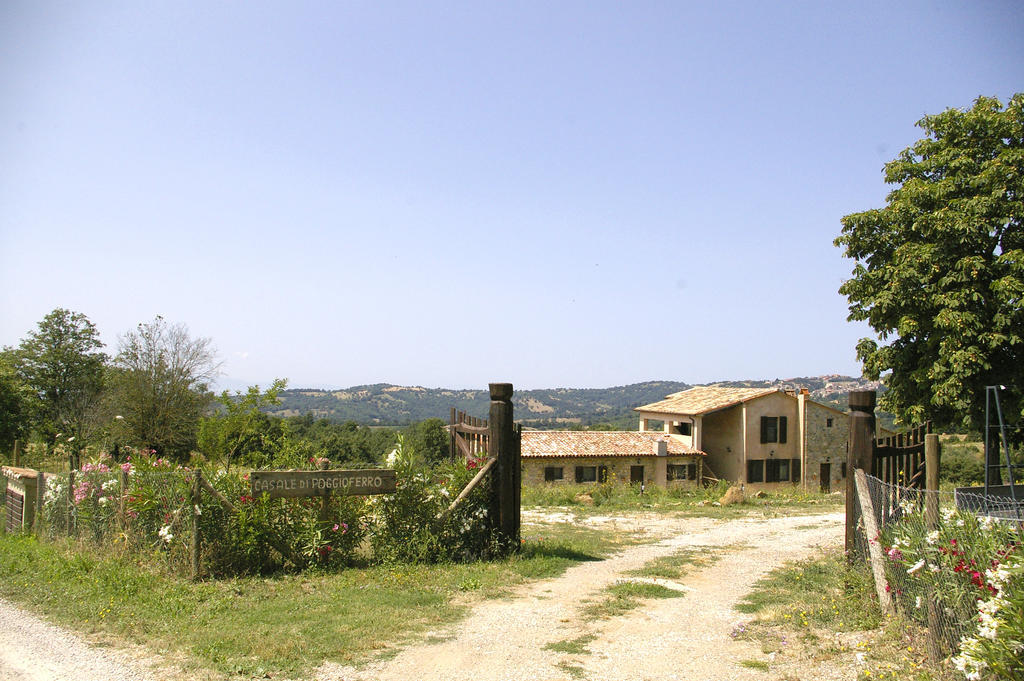 B&B Casale Di Poggioferro Scansano Luaran gambar